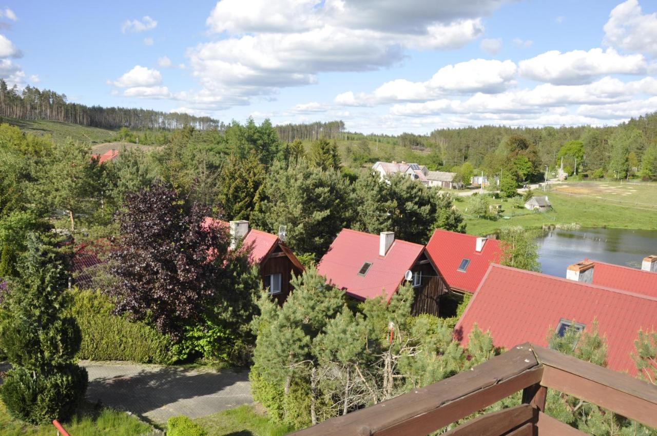 Baryla Z Sauna I Basenem